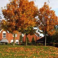 Five Reasons to Hire a Professional to Get Your Gutters Cleaned