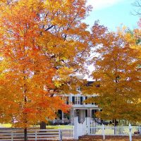 Why You Should Get Your Gutters Cleaned and Repaired Before Fall Starts