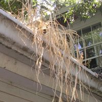 Three Common Gutter Problems That Need Fixing